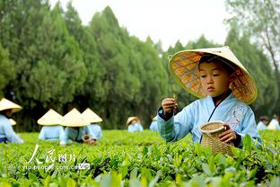 努尔基奇：猛龙是背靠背比赛 我们的开局必须要比今天打得更好